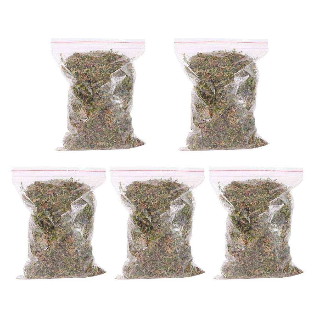 Natural Dry Moss for Hamsters & Reptiles Soft Bedding & Landscaping (100g) - Image 2