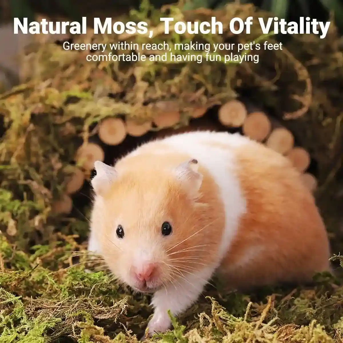Natural Dry Moss for Hamsters & Reptiles Soft Bedding & Landscaping (100g) - Image 3