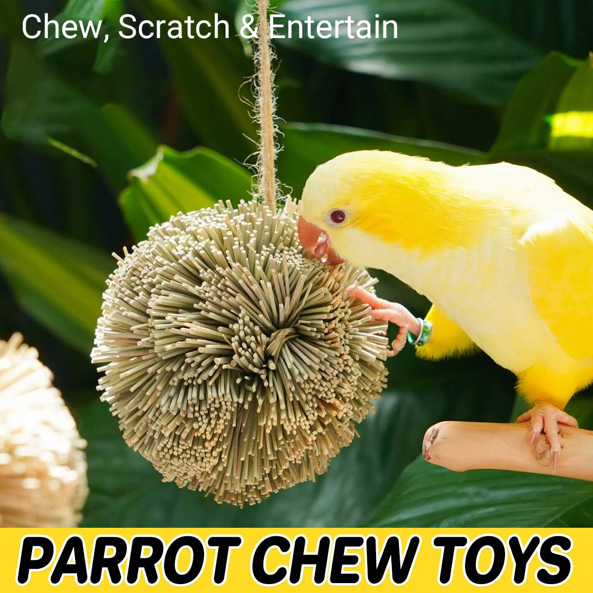 Natural Parrot Chew Toy Ball