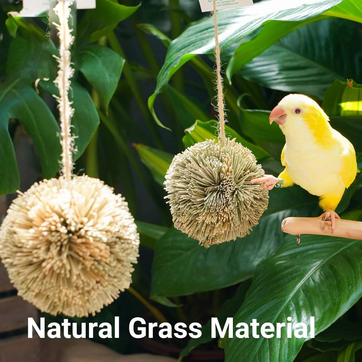 Natural Parrot Chew Toy Ball - Image 10