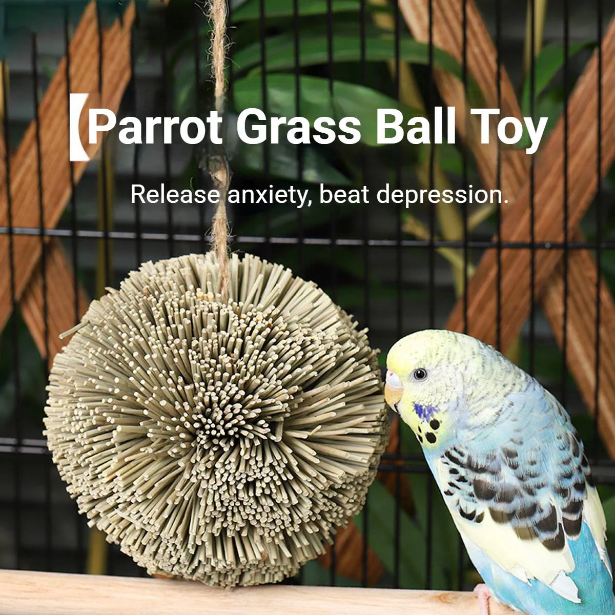 Natural Parrot Chew Toy Ball - Image 4