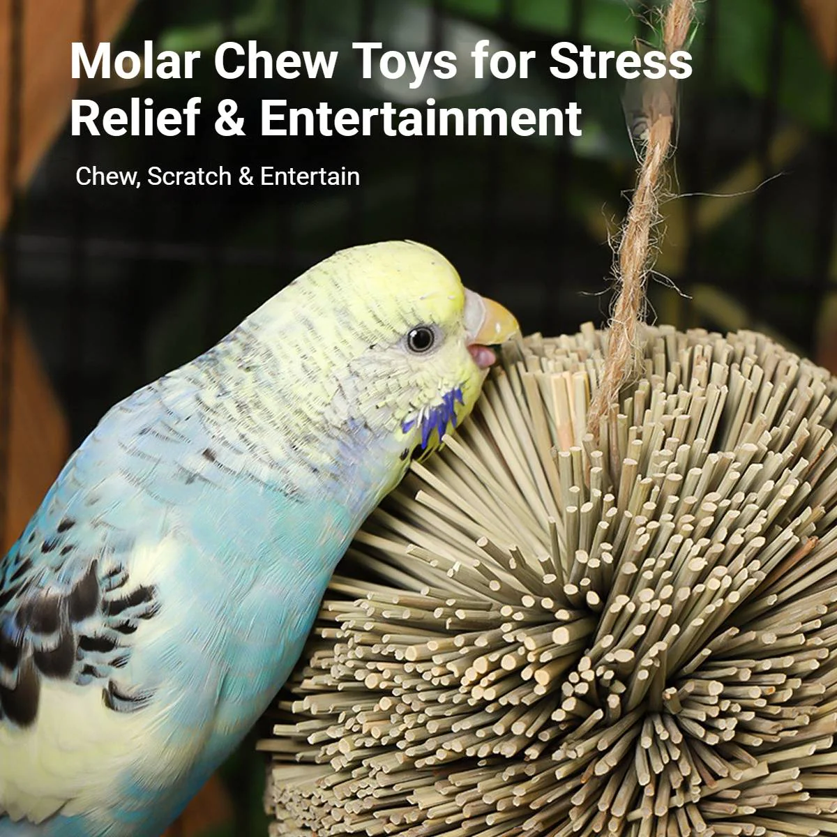 Natural Parrot Chew Toy Ball - Image 5