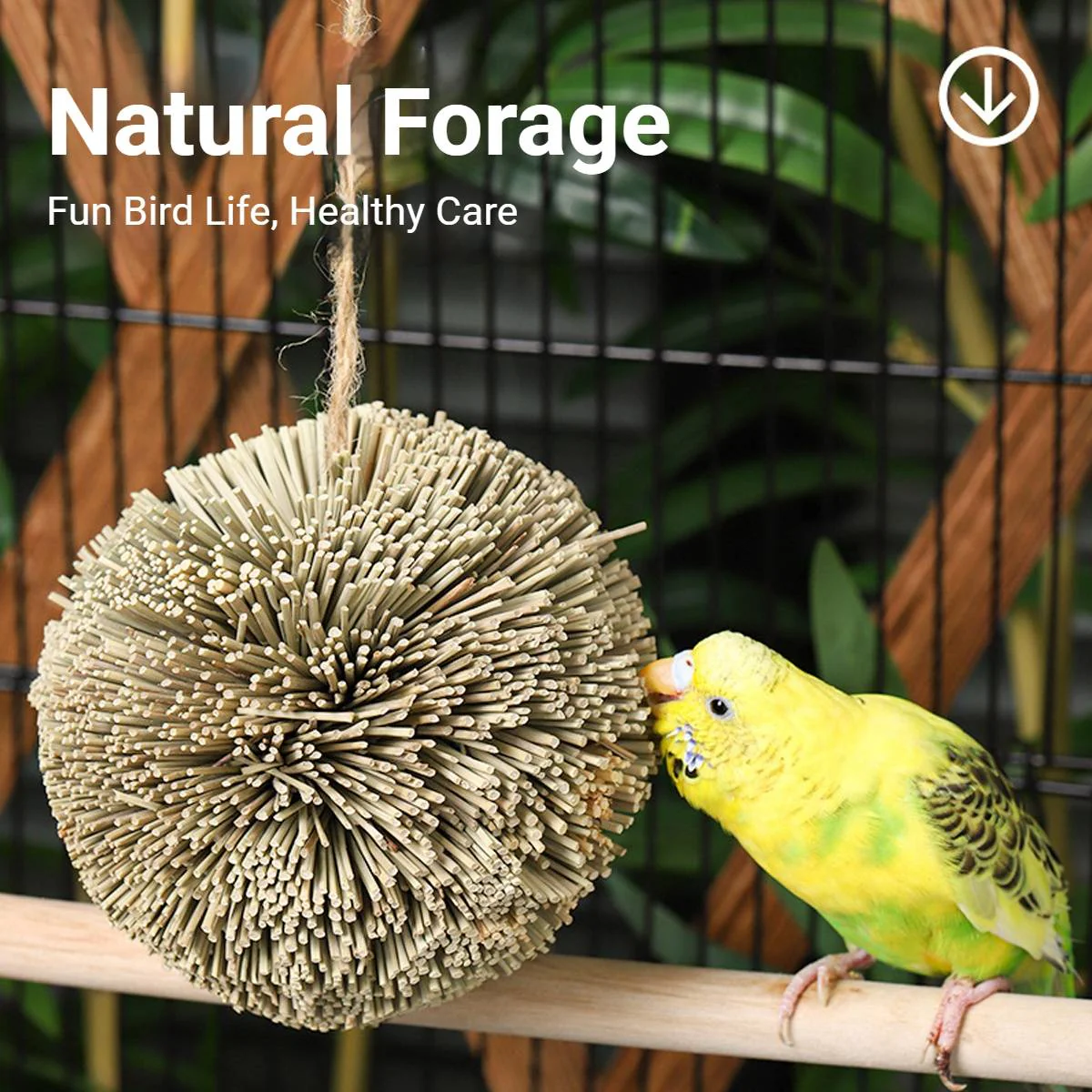 Natural Parrot Chew Toy Ball - Image 6