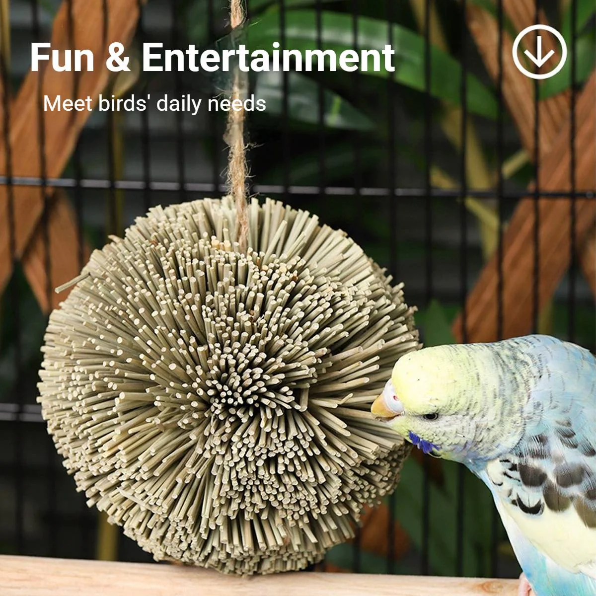 Natural Parrot Chew Toy Ball - Image 7