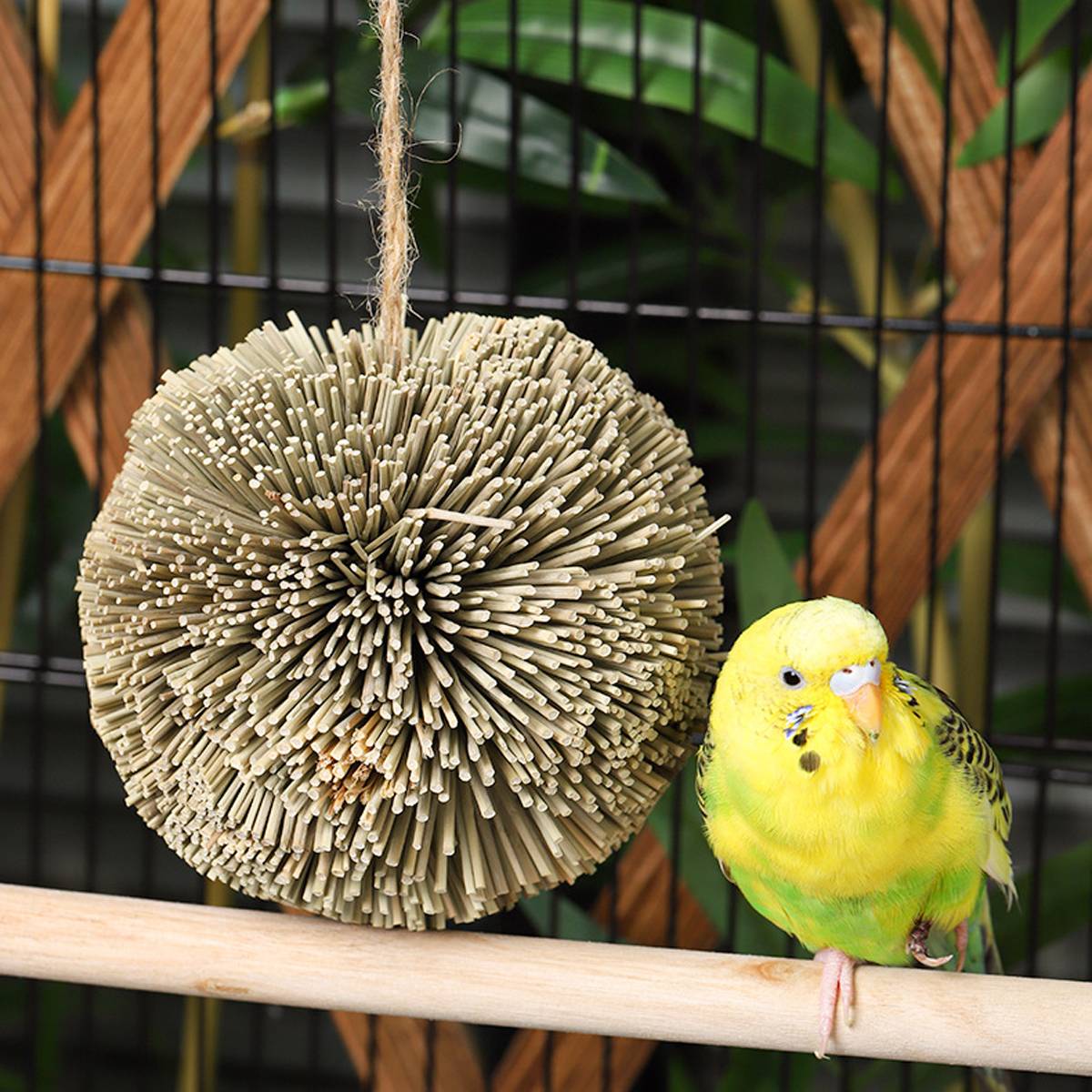 Natural Parrot Chew Toy Ball - Image 8