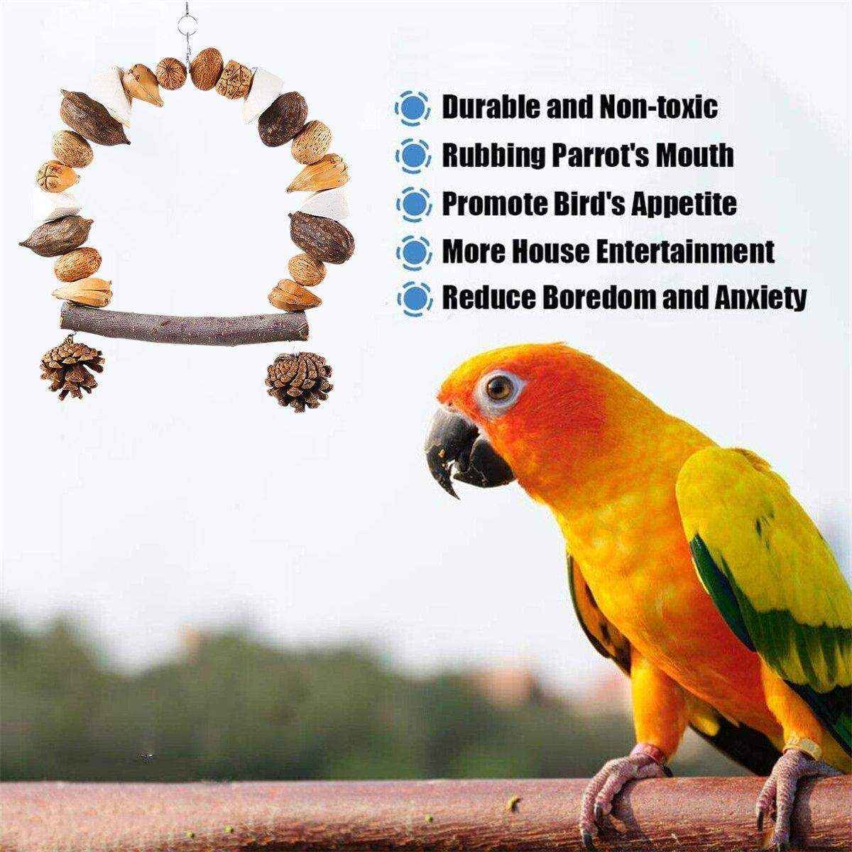 Parrot Toys Bite Toys Training Molar Teeth Relieving Boredom Parrot Special Toys - Image 7