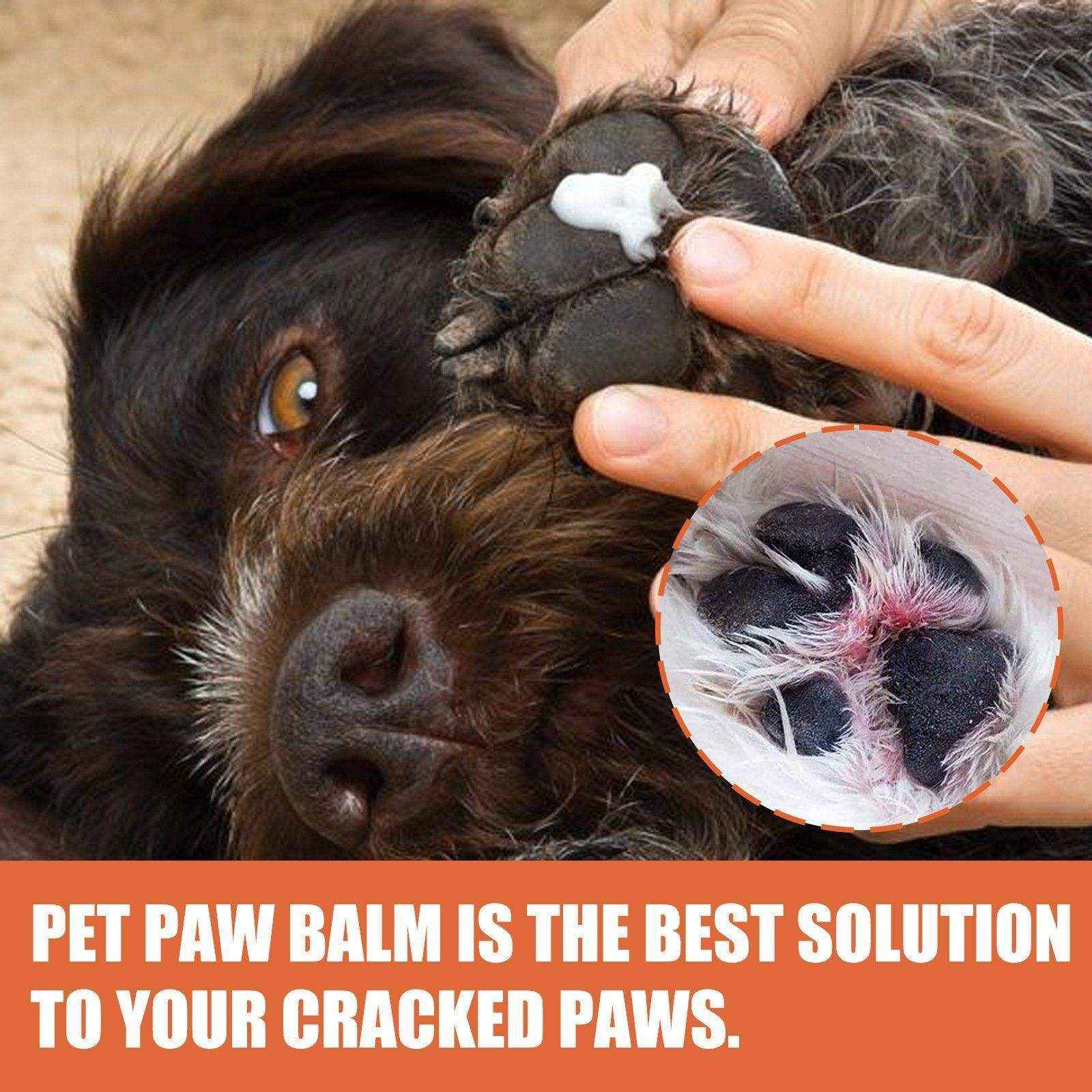 Pet Foot Care Cream Special For Dogs And Cats Foot Care Foot Pad Protection - Image 12
