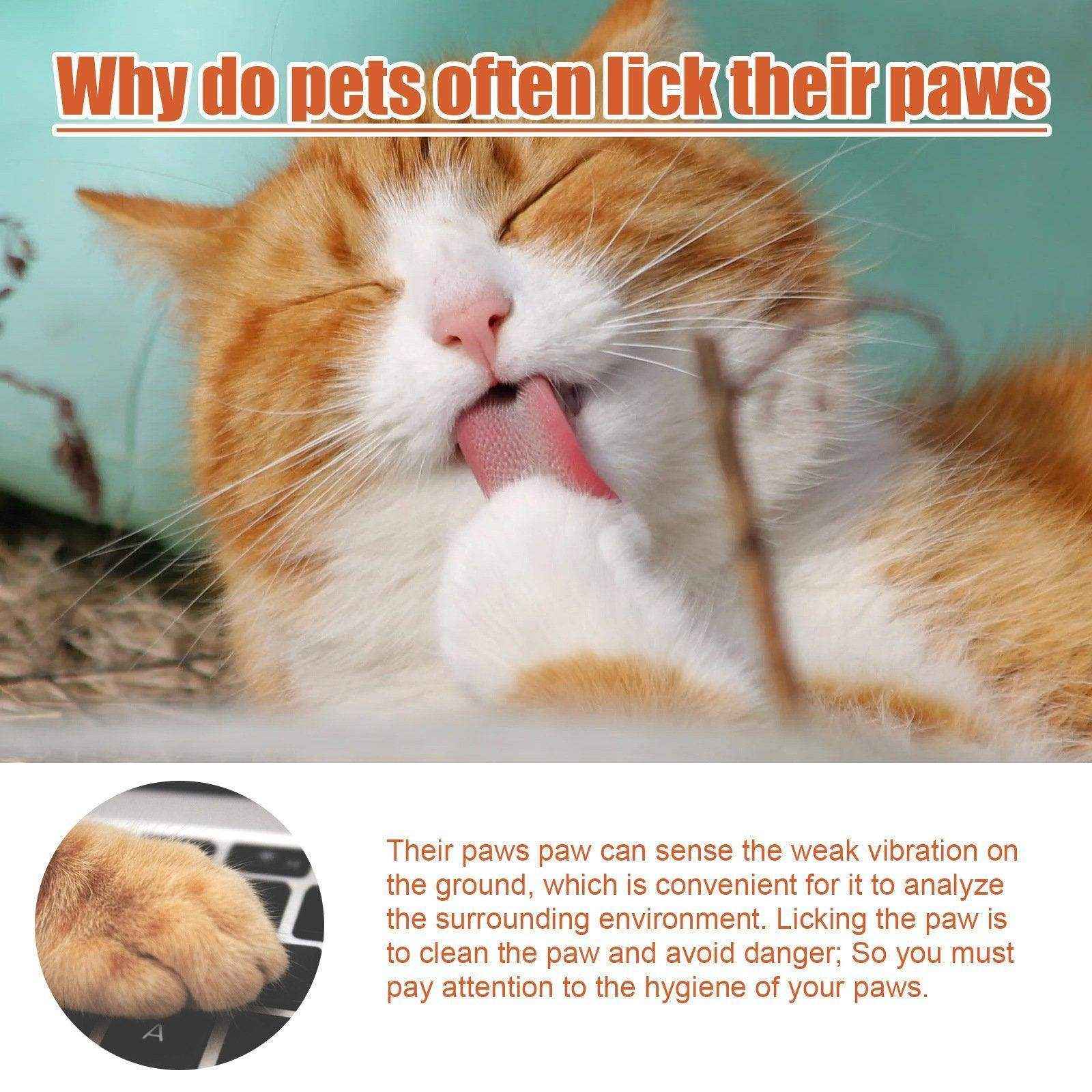 Pet Foot Care Cream Special For Dogs And Cats Foot Care Foot Pad Protection - Image 7