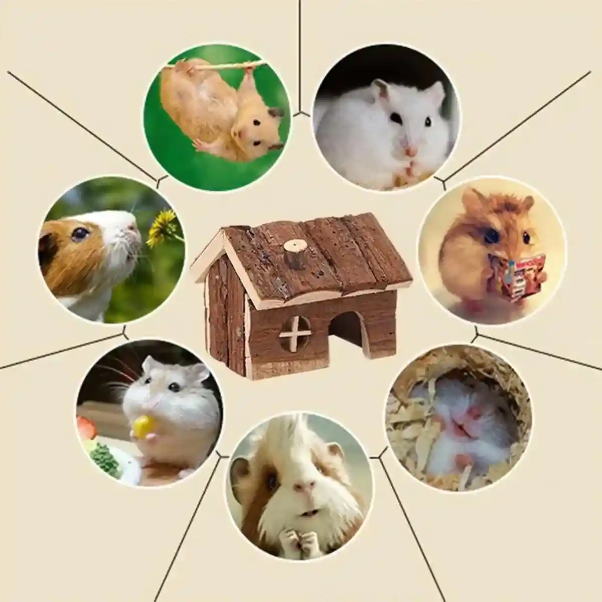 Natural Wood Hamster House S/L - Image 10