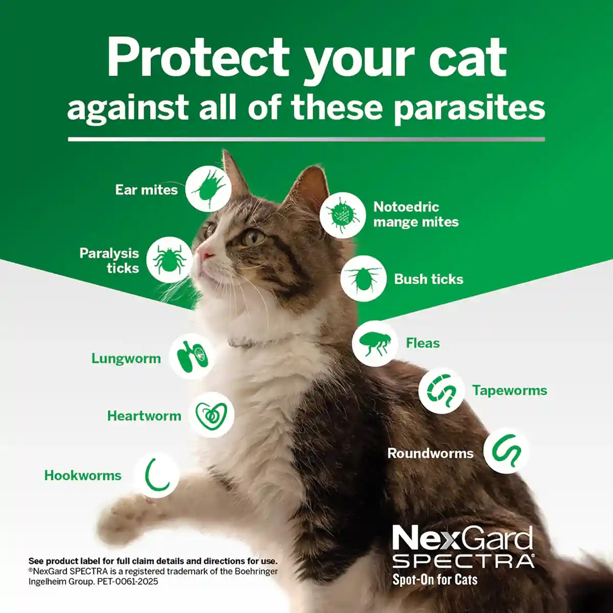 NEXGARD SPECTRA Spot On For Large Cats Yellow 3'S/6'S - Image 6