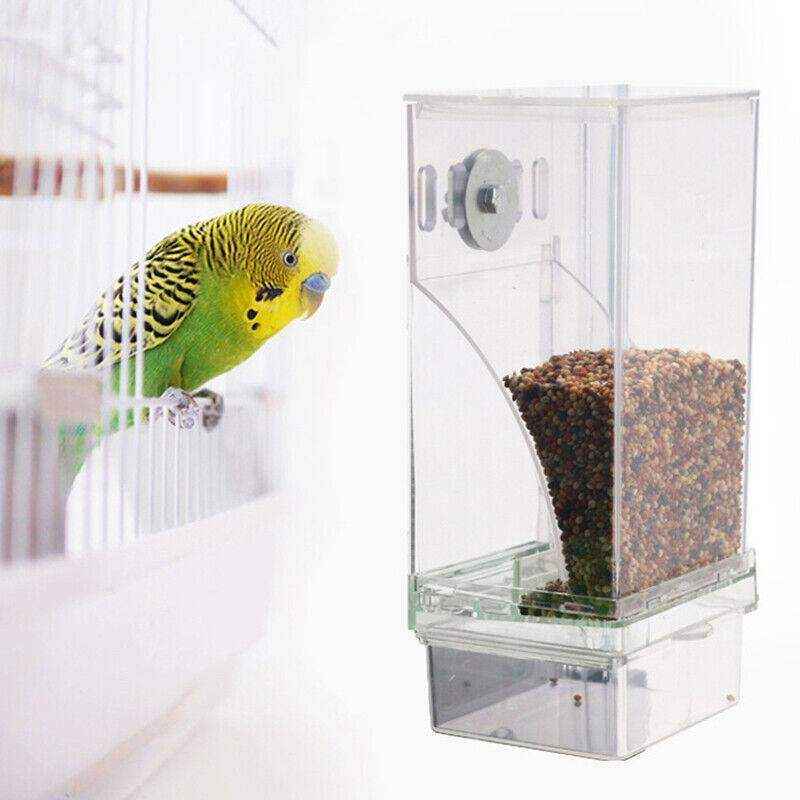 No-Mess Auto Cage Bird Feeder - Image 5