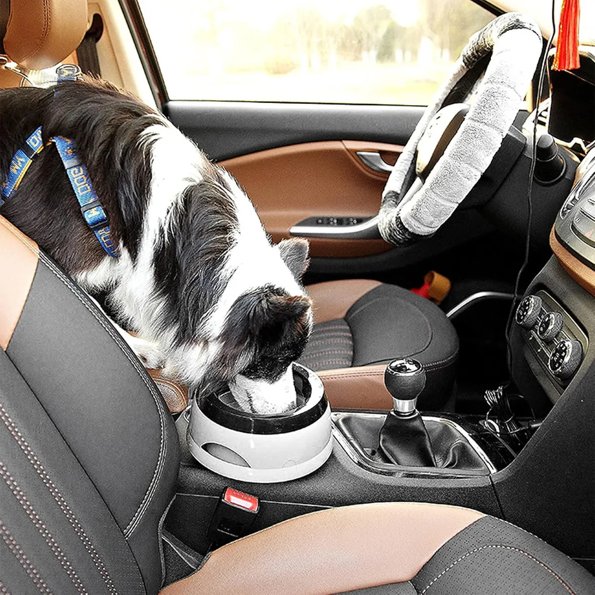 No Spill Pet Water Bowl With Floating Plate - Image 12