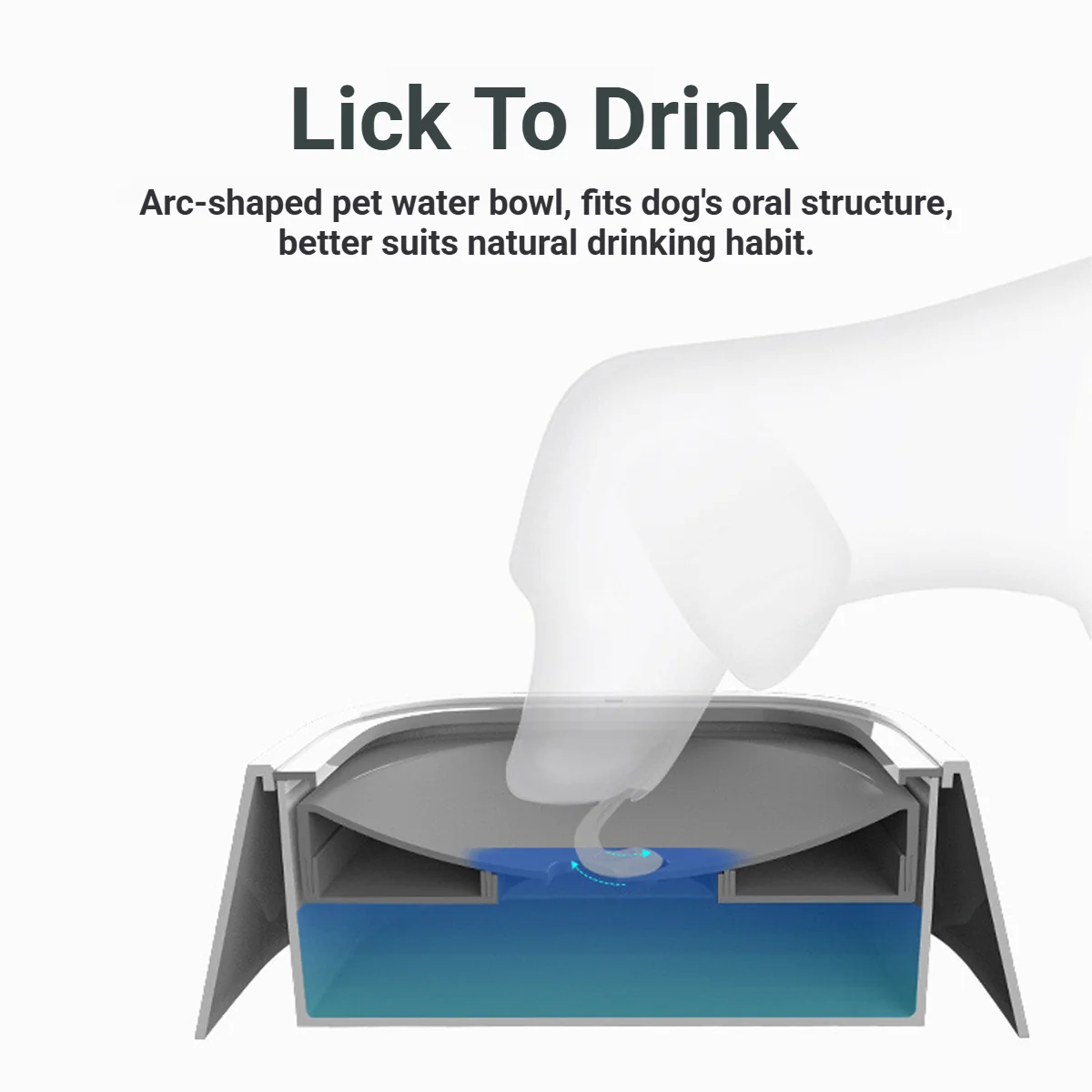 No Spill Pet Water Bowl With Floating Plate - Image 7