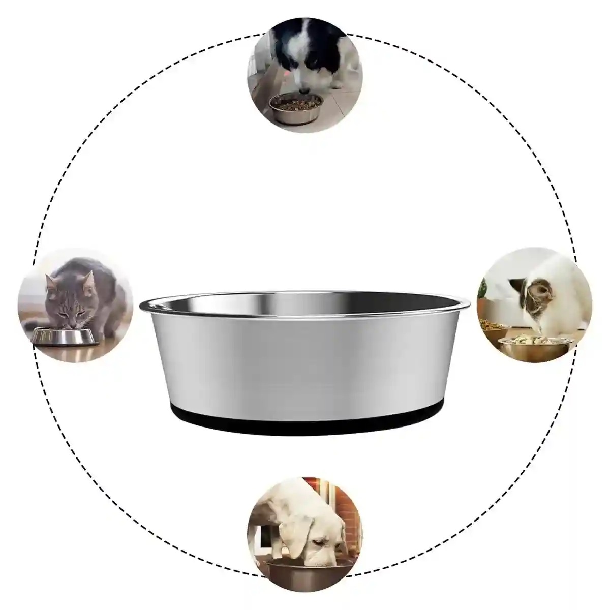 Stainless Steel Pet Dish with Non Slip Dog Bowl Base for Clean Feeding - Image 13