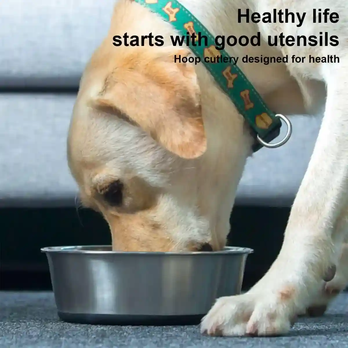Stainless Steel Pet Dish with Non Slip Dog Bowl Base for Clean Feeding - Image 3