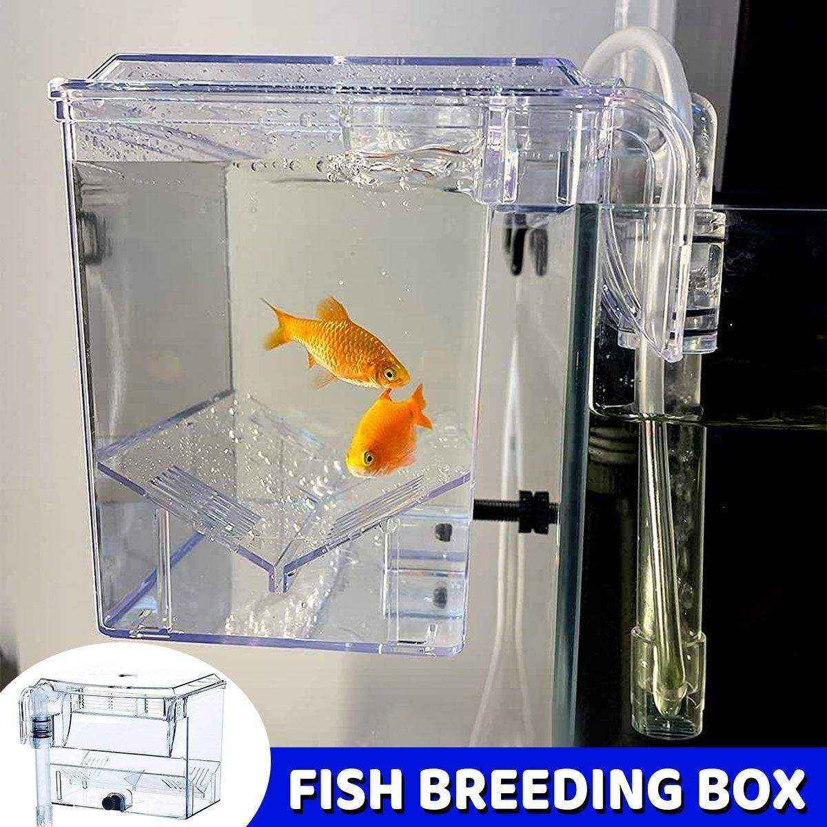 Durable Outboard Fish Isolation Box for Breeding and Protection