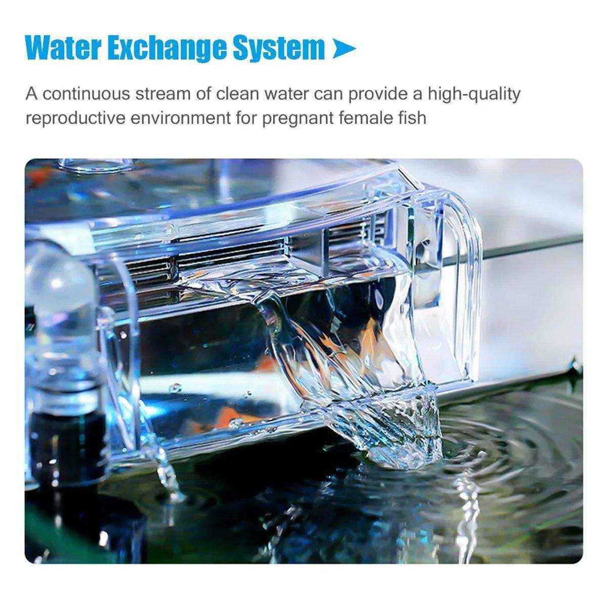 Durable Outboard Fish Isolation Box for Breeding and Protection - Image 11