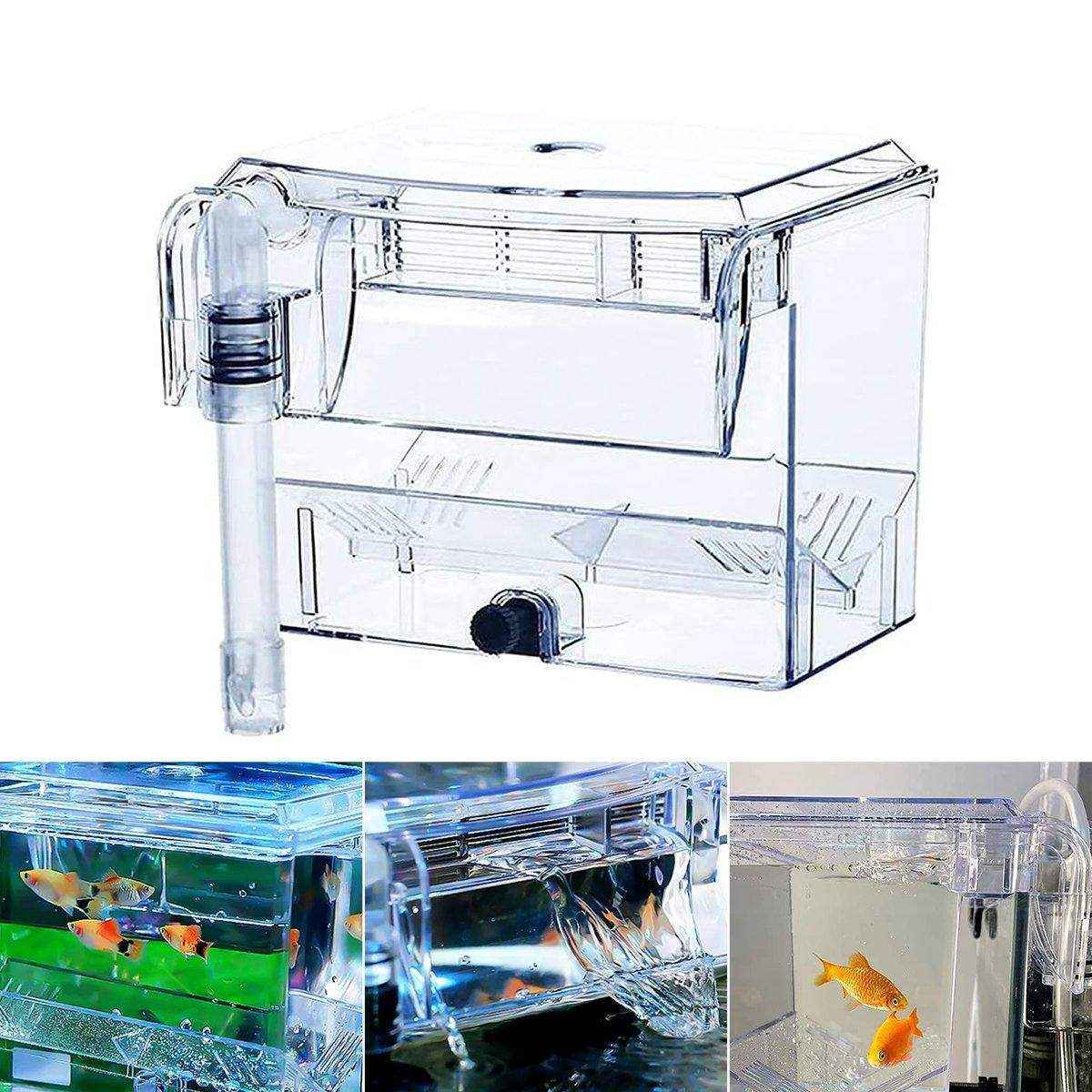 Durable Outboard Fish Isolation Box for Breeding and Protection - Image 14