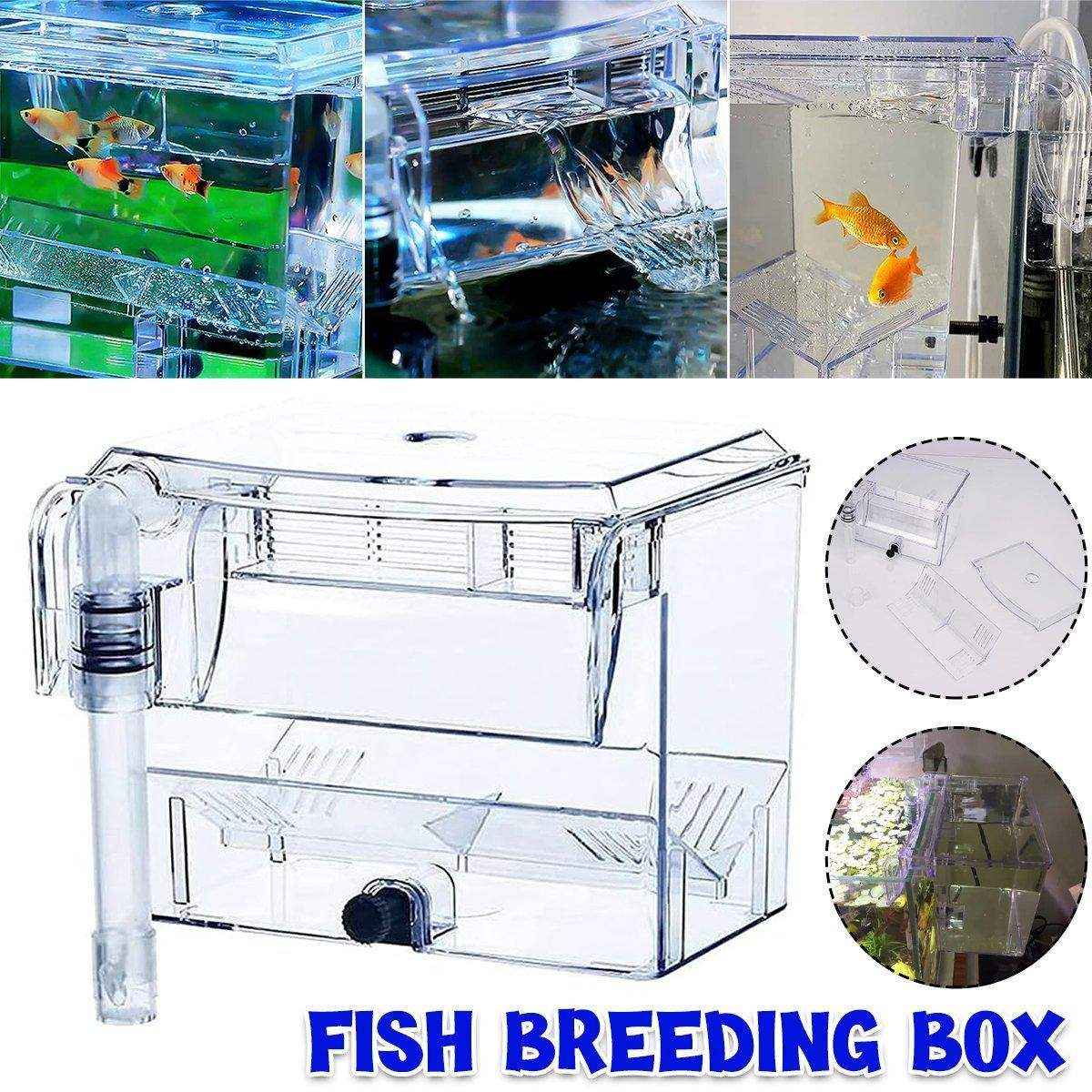 Durable Outboard Fish Isolation Box for Breeding and Protection - Image 3