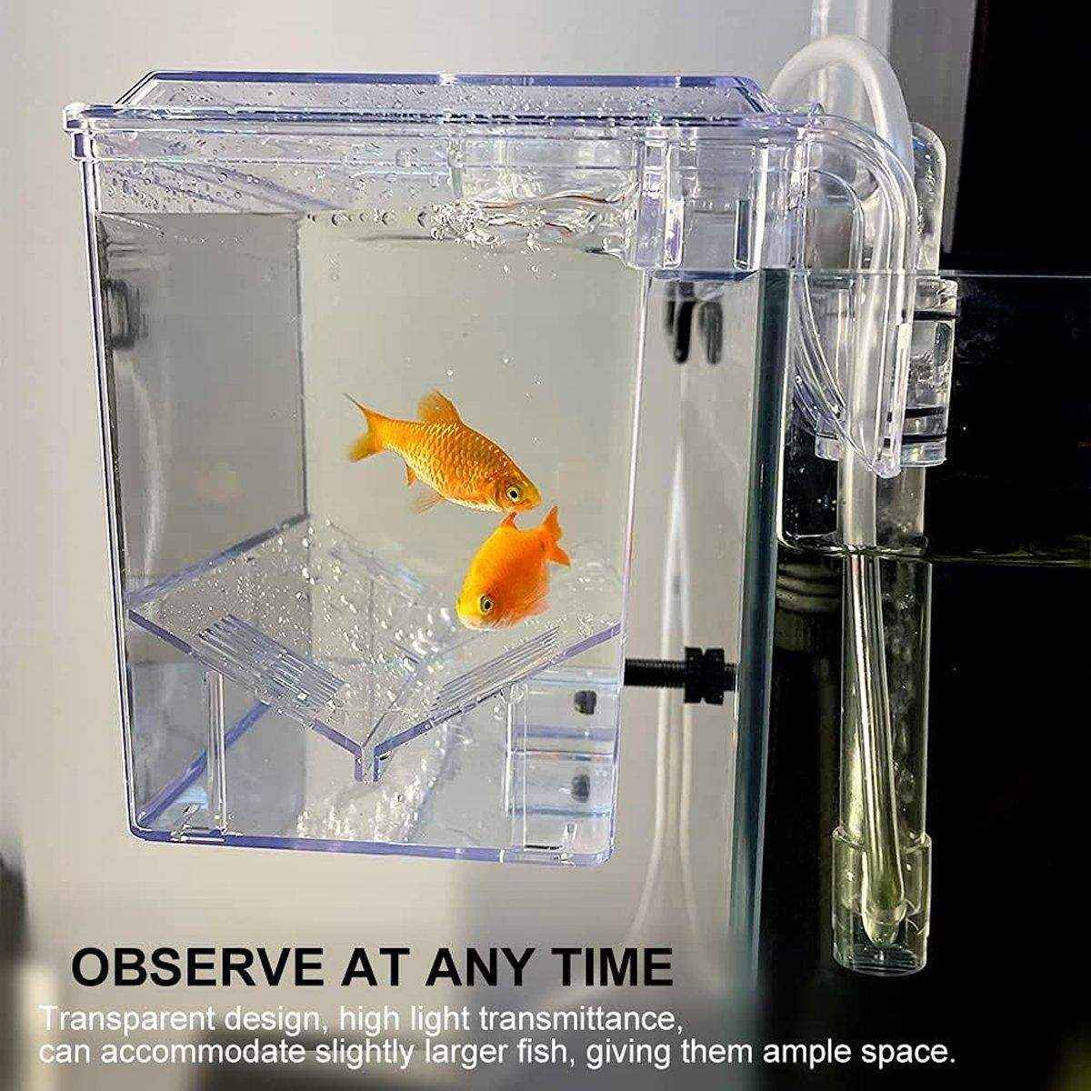 Durable Outboard Fish Isolation Box for Breeding and Protection - Image 5