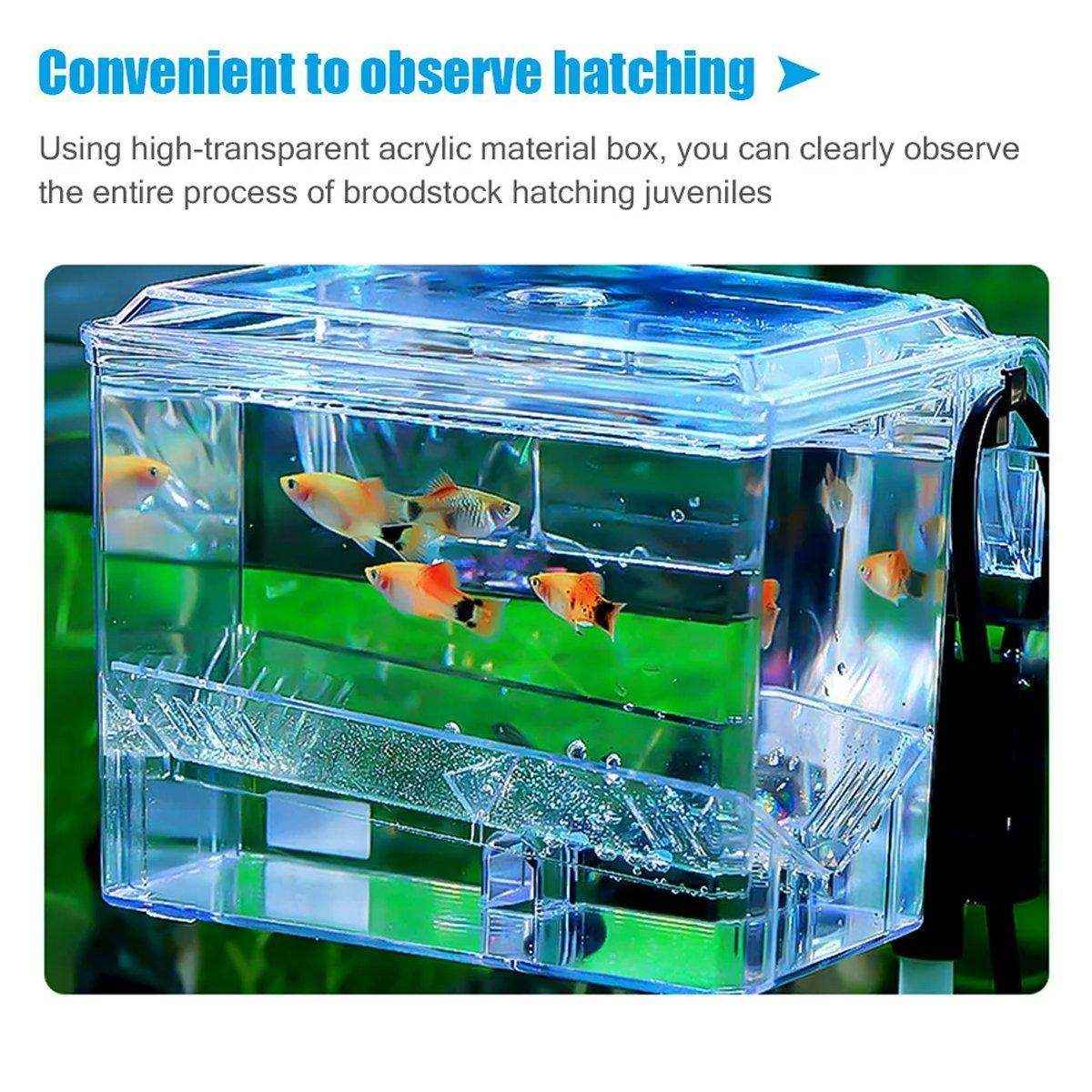 Durable Outboard Fish Isolation Box for Breeding and Protection - Image 6