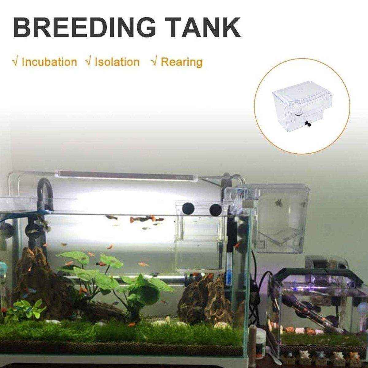 Durable Outboard Fish Isolation Box for Breeding and Protection - Image 7