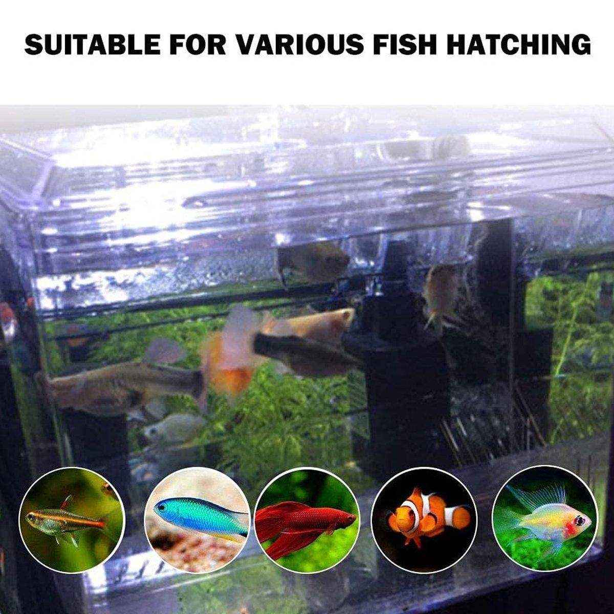 Durable Outboard Fish Isolation Box for Breeding and Protection - Image 9