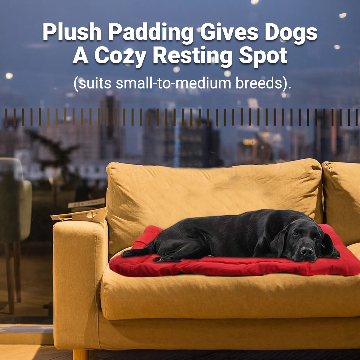 Outdoor Dog Bed Foldable Waterproof Travel Mat - Image 11
