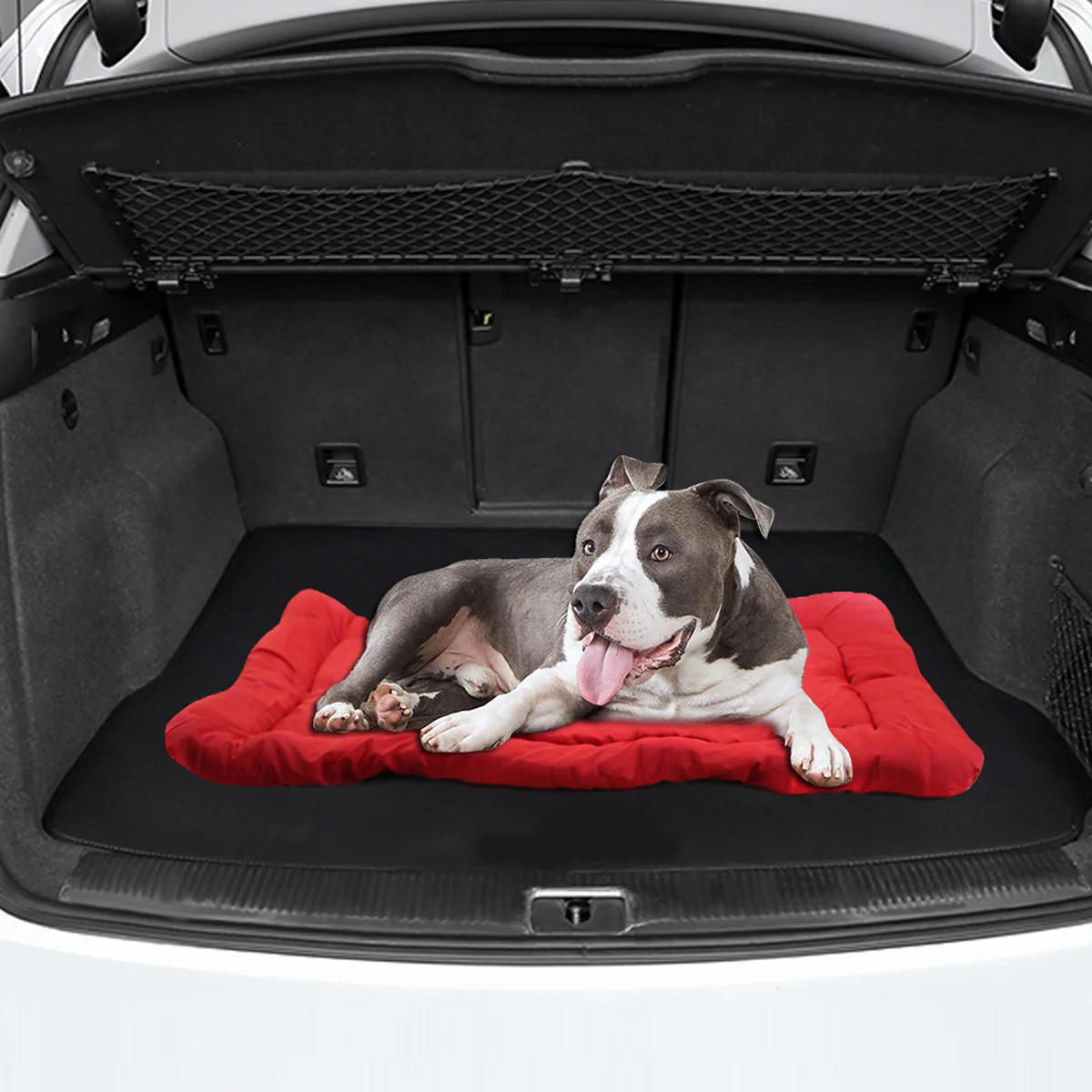 Outdoor Dog Bed Foldable Waterproof Travel Mat - Image 13
