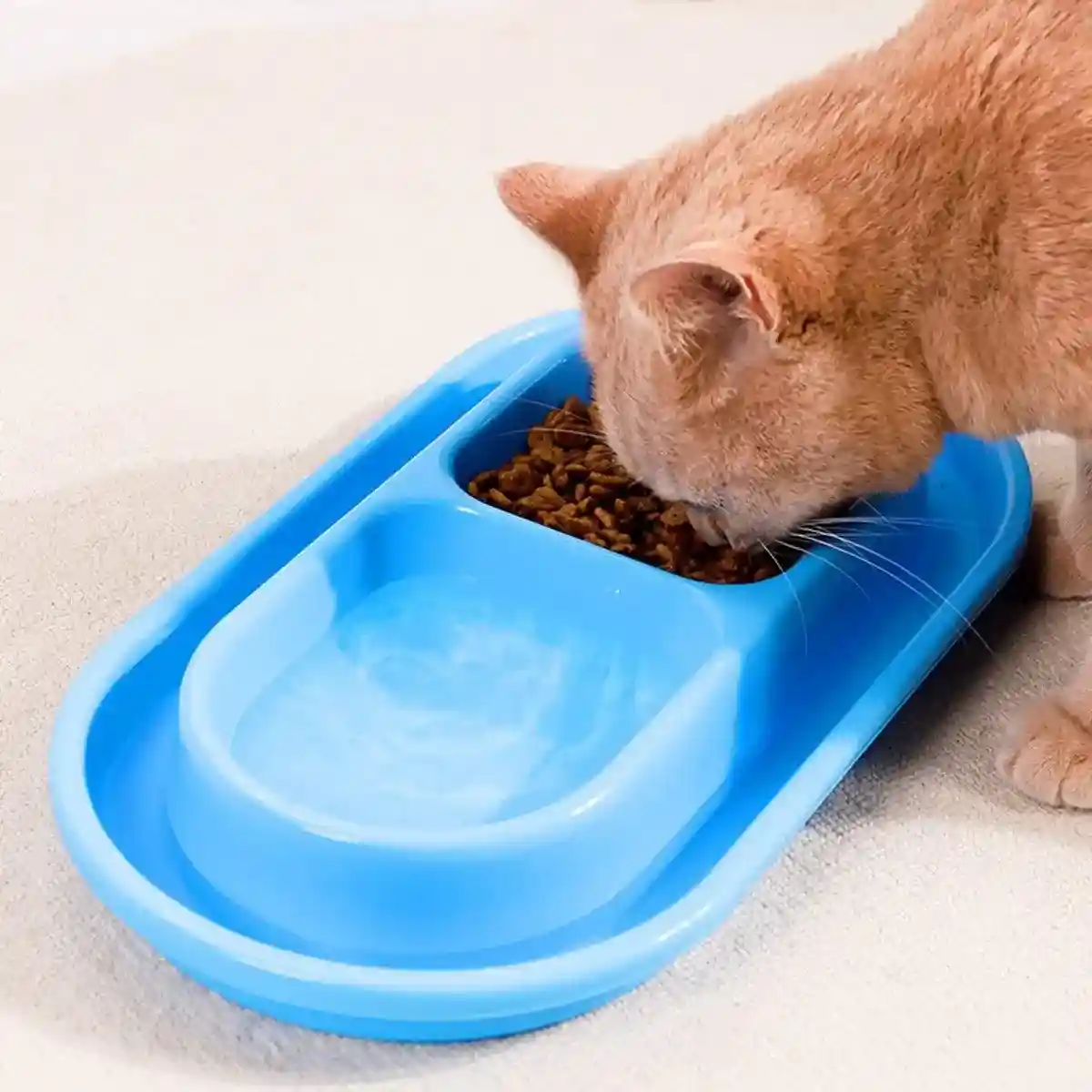 Outdoor Waterproof Double Cat Feeding Bowl Rainproof Pet Food Bowl Anti-Ant - Image 5