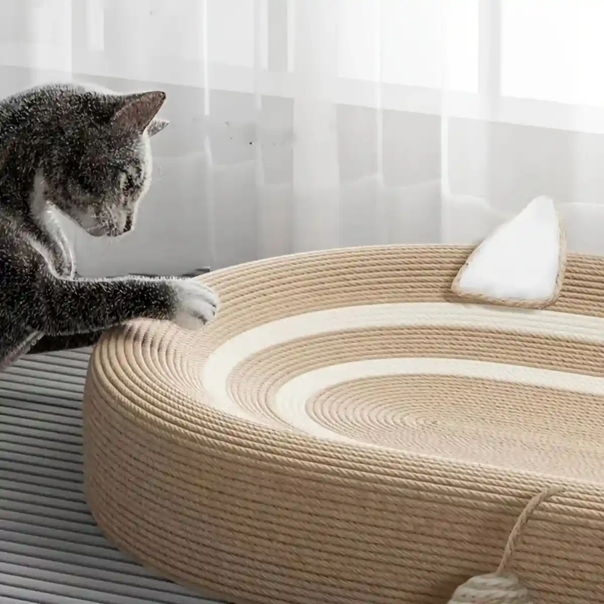 Oval Sisal Cat Scratching Bed with Ball Toy and Ears Design - Image 11