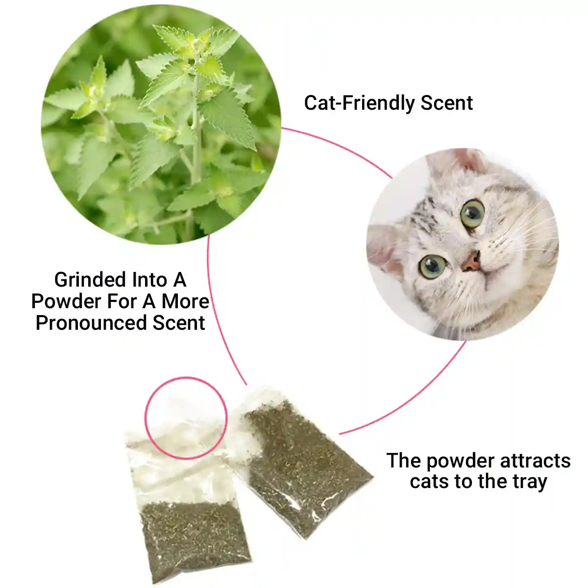Paper Cat Scratching Board Multi-Use Toy Scratcher & Bed for Cats - Image 11