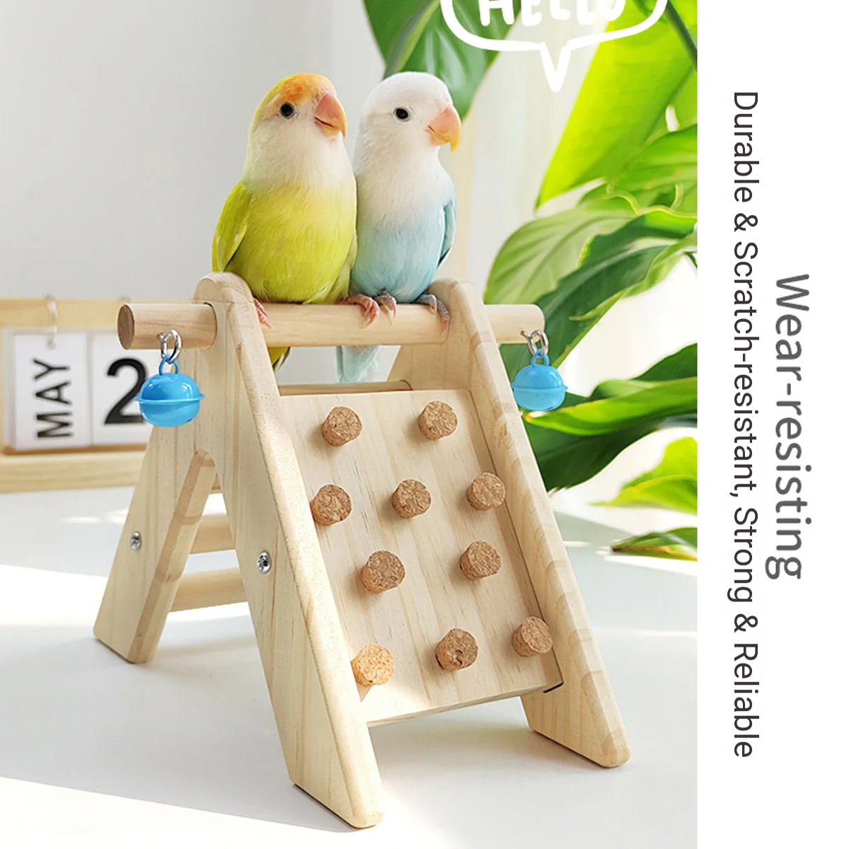 Parrot Climbing Ladder - Image 10