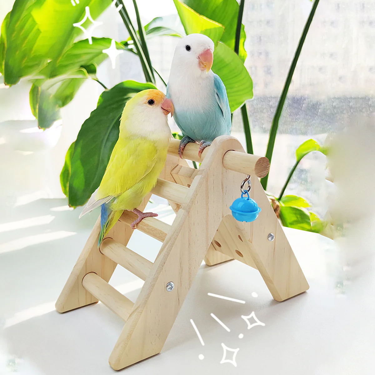 Parrot Climbing Ladder - Image 11