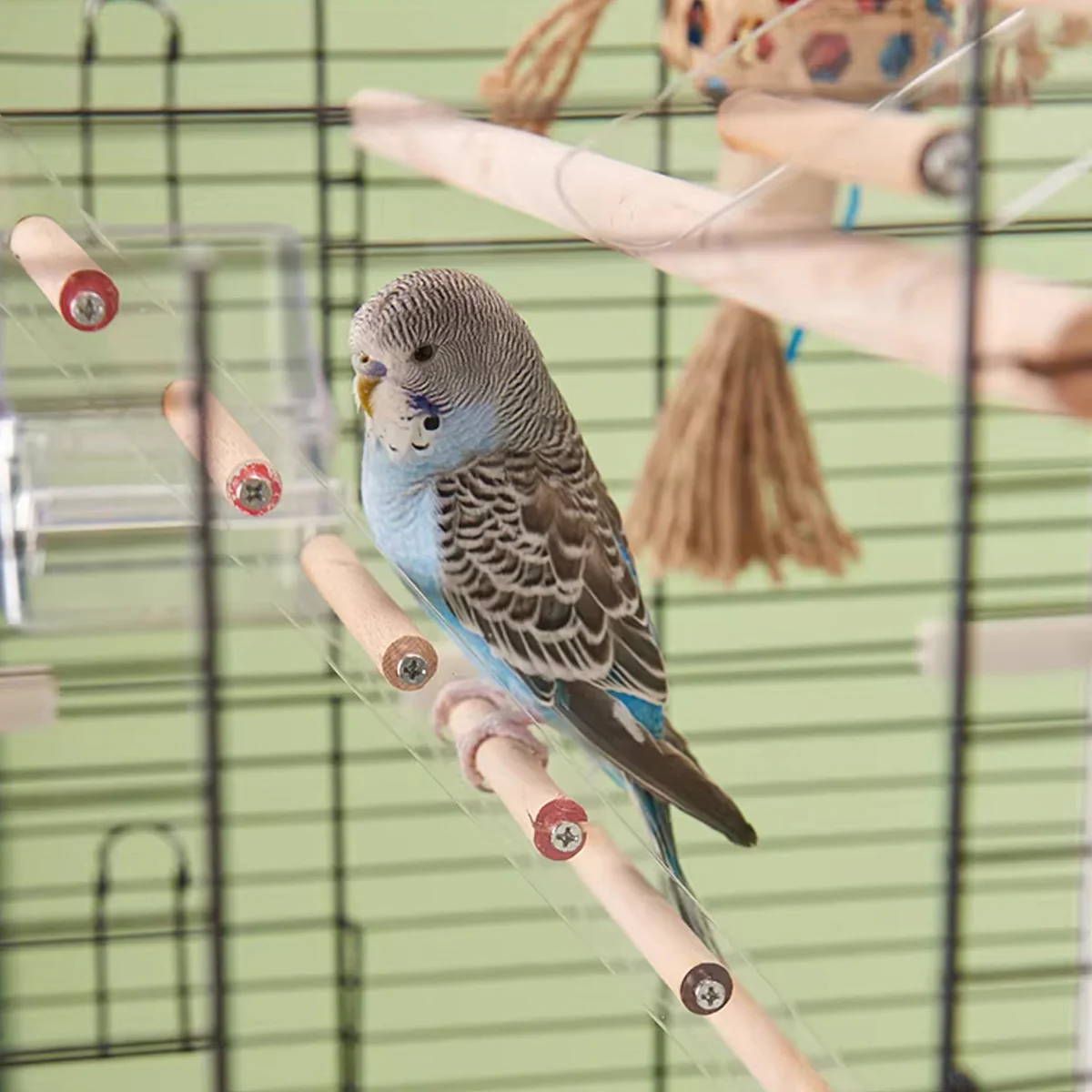Parrot Climbing Ladder Acrylic Bird Cage Stairs Toy - Image 12