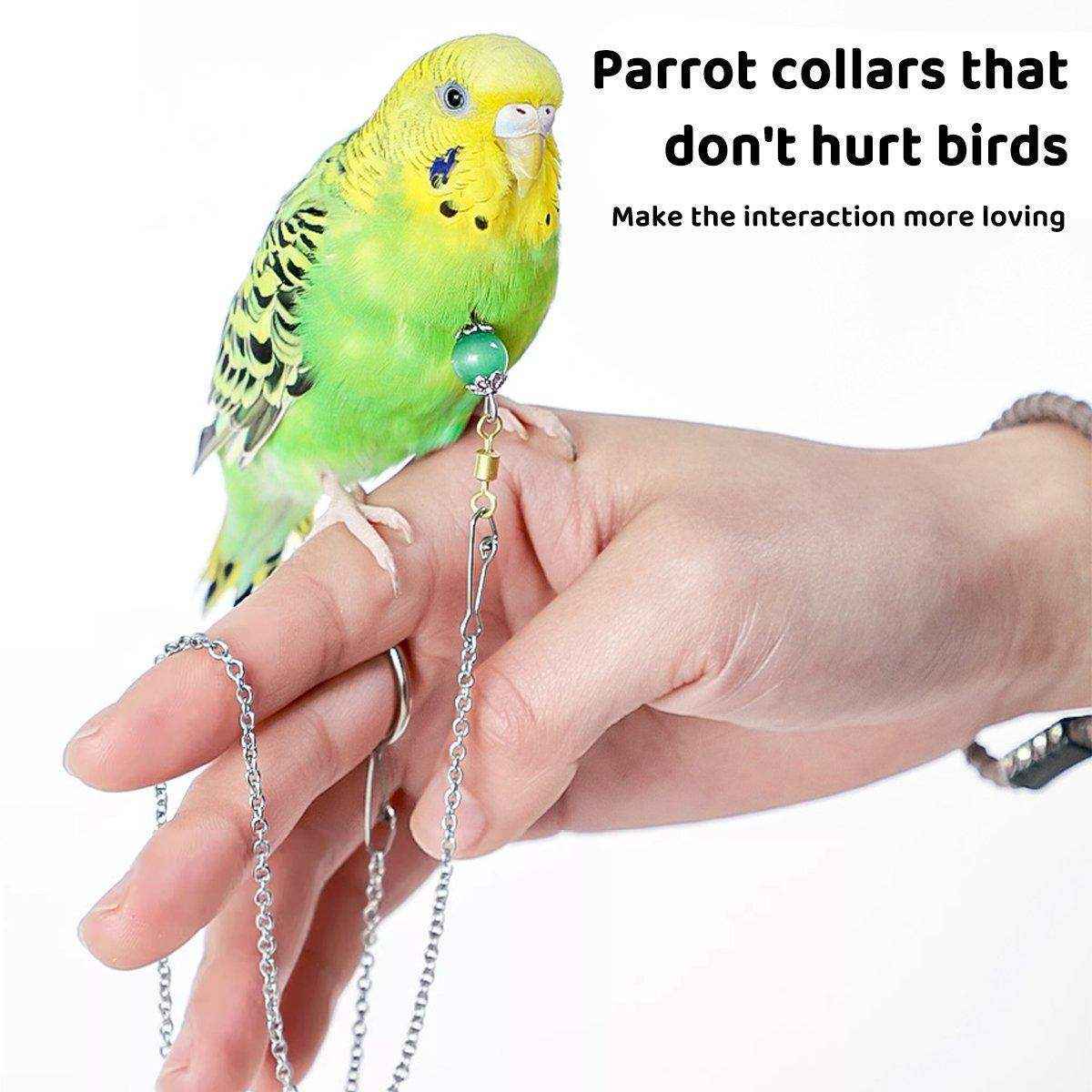 Adjustable Parrot Collar with Opal Necklace and Stainless Steel Chain - Image 6