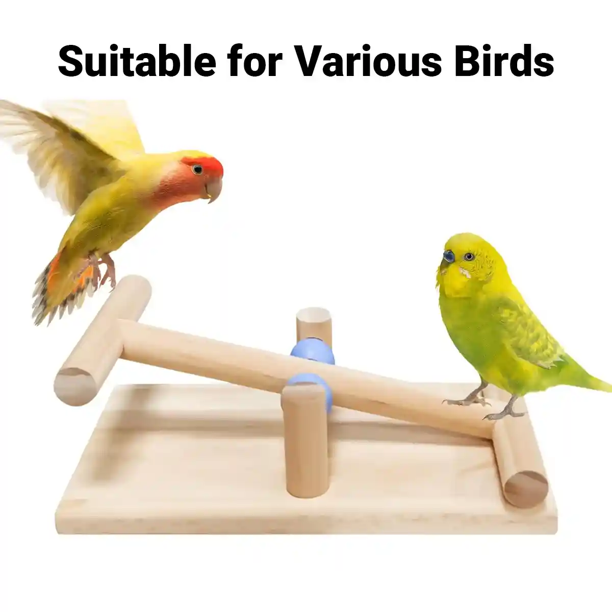 Parrot Interactive Seesaw Toy Wooden Bird Claw Grinding Toy - Image 7