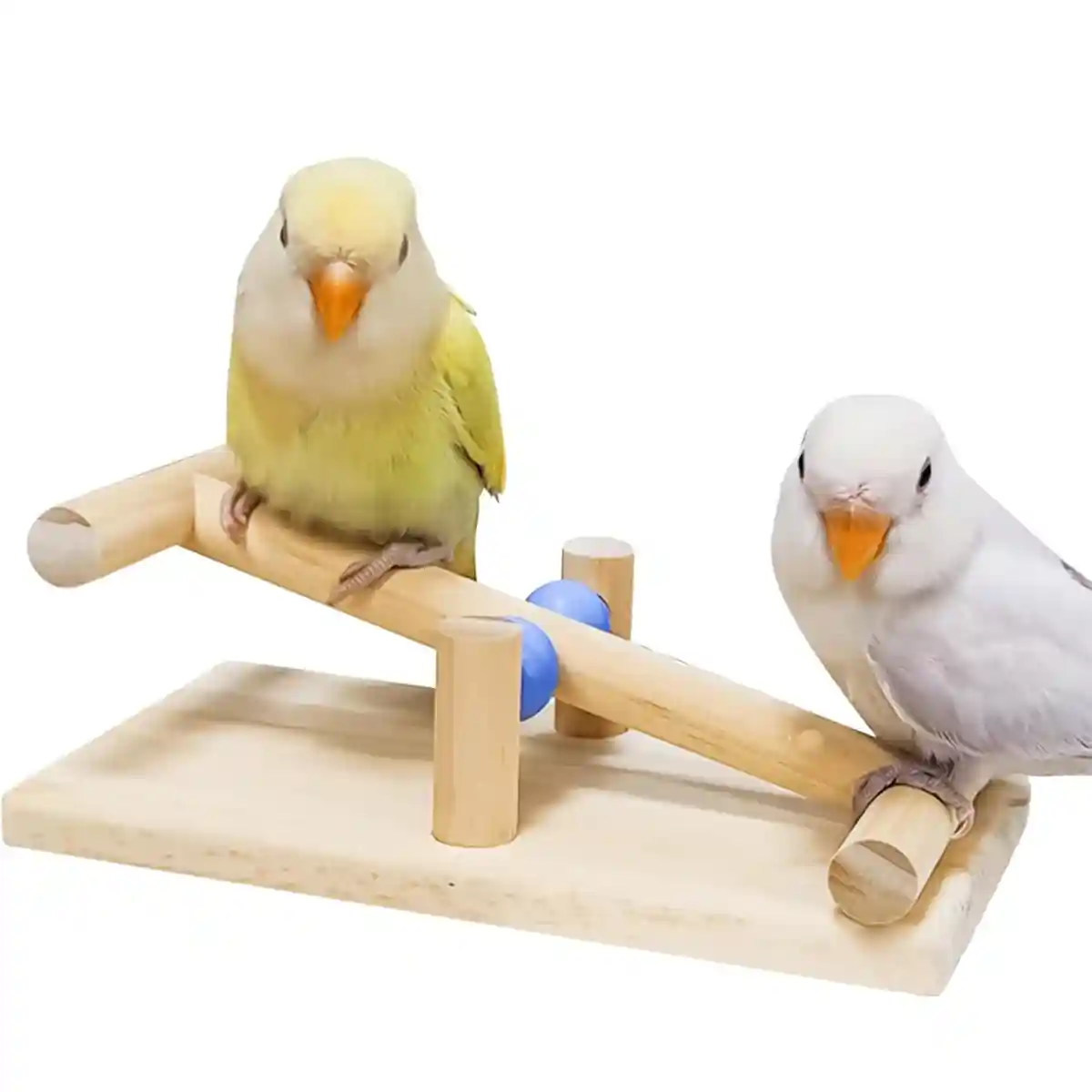 Parrot Interactive Seesaw Toy Wooden Bird Claw Grinding Toy - Image 9