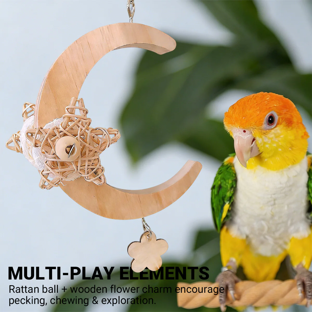Parrot Moon Swing Wooden Bird Perch Toy - Image 9