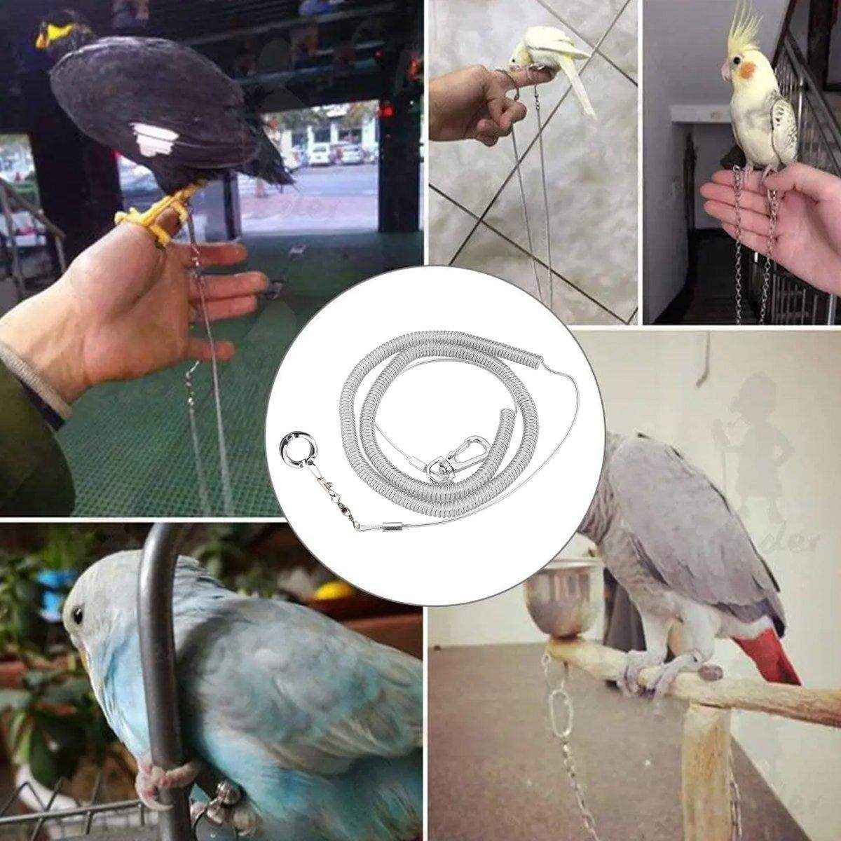 Parrot Release Rope Anklet with Alloy Fasteners Supplies Bird Lead - Image 11