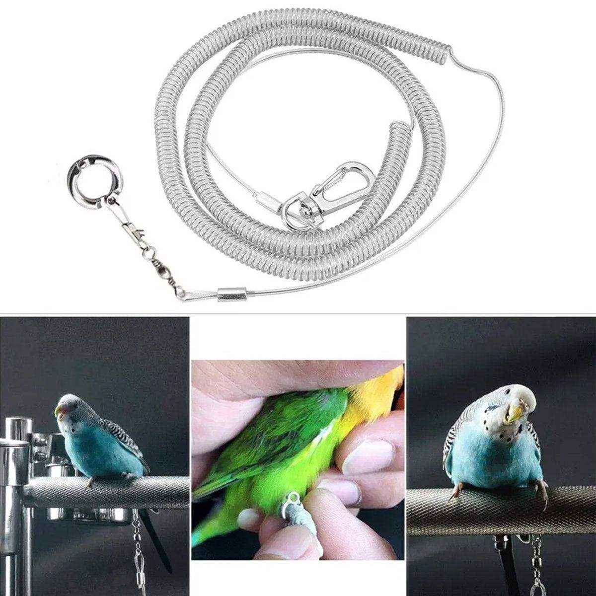 Parrot Release Rope Anklet with Alloy Fasteners Supplies Bird Lead - Image 13