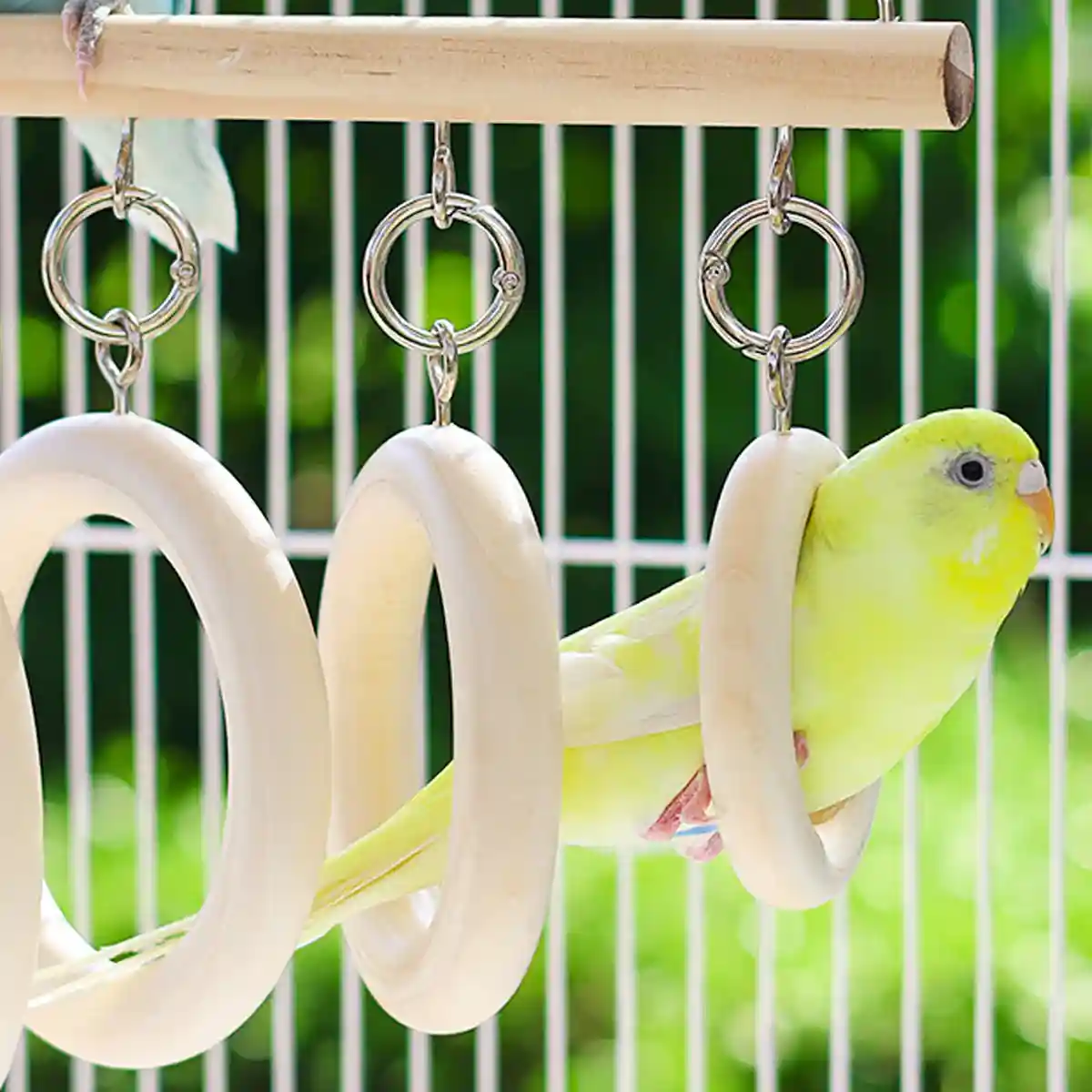 Bird Swing Tunnel Toy Fun & Comfortable Play for Birds - Image 4