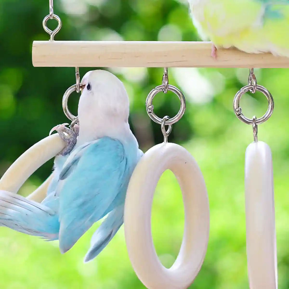 Bird Swing Tunnel Toy Fun & Comfortable Play for Birds - Image 7