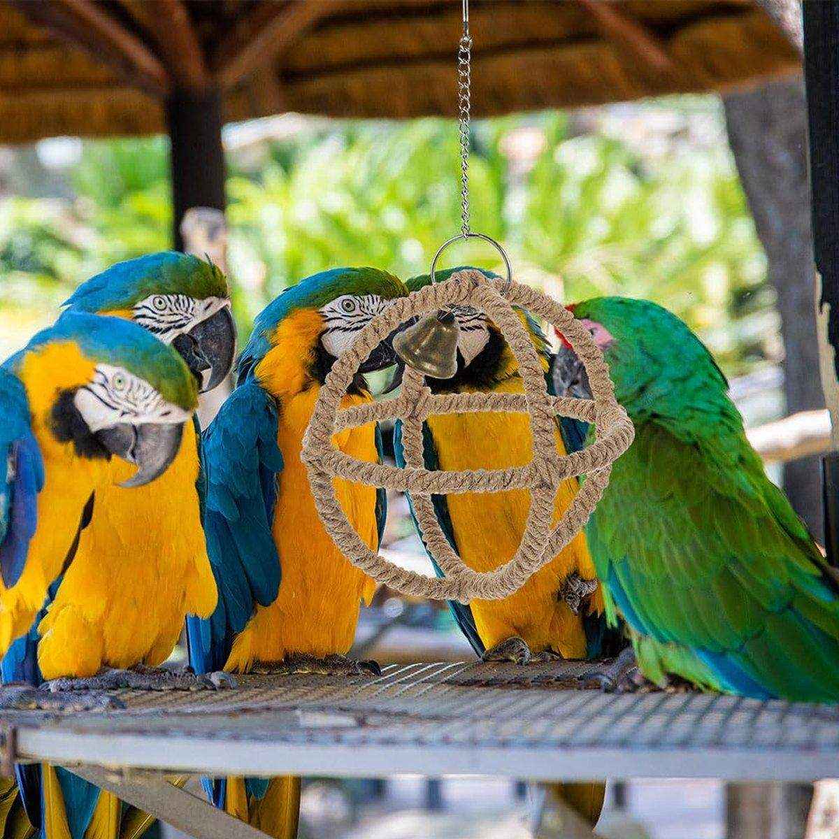 Parrot Toy Bite Exquisite Ball Ring Hemp Rope Bird Toy Ring Swing Pet Toy Bird Bite Supplies - Image 10