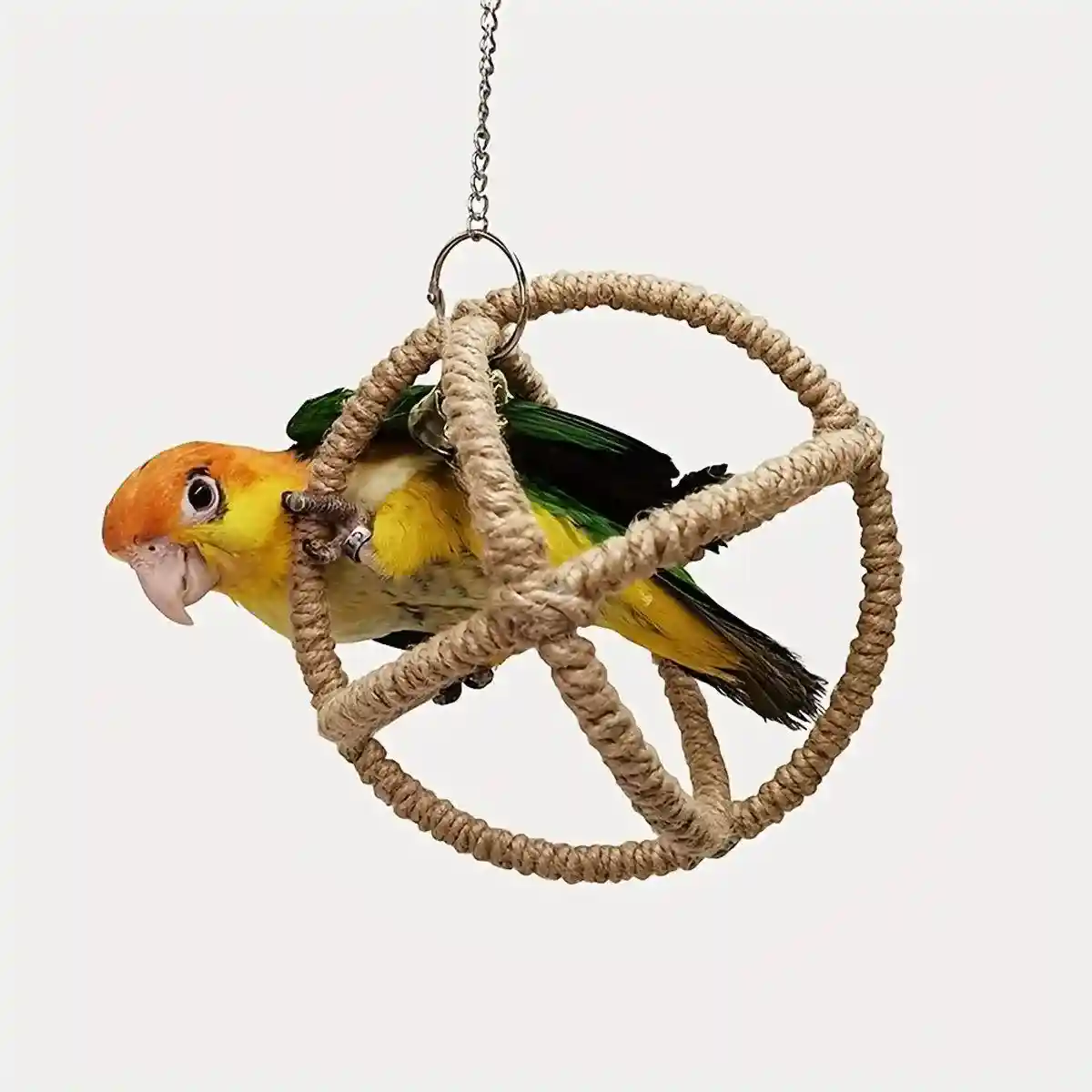 Parrot Toy Bite Exquisite Ball Ring Hemp Rope Bird Toy Ring Swing Pet Toy Bird Bite Supplies - Image 6