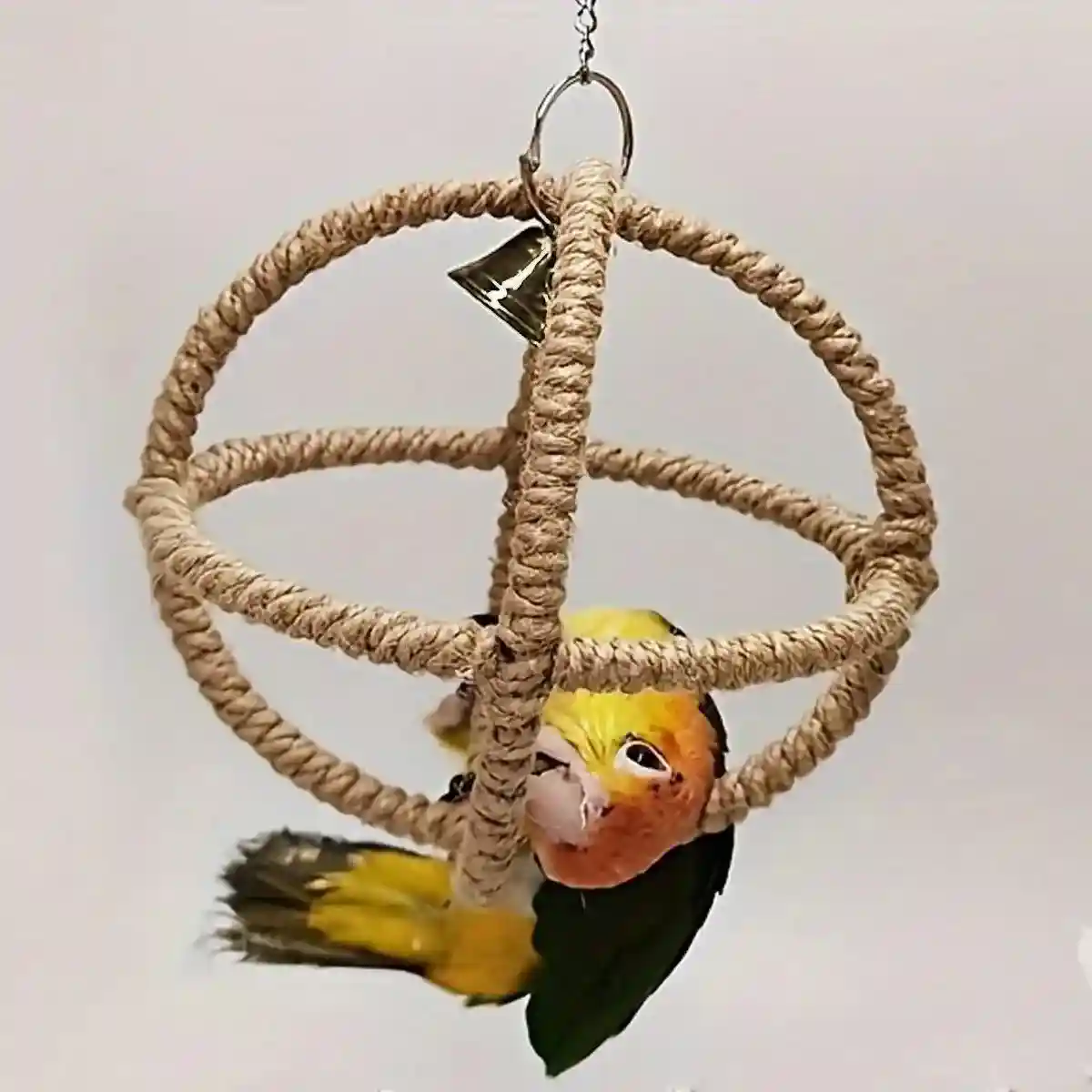 Parrot Toy Bite Exquisite Ball Ring Hemp Rope Bird Toy Ring Swing Pet Toy Bird Bite Supplies - Image 8