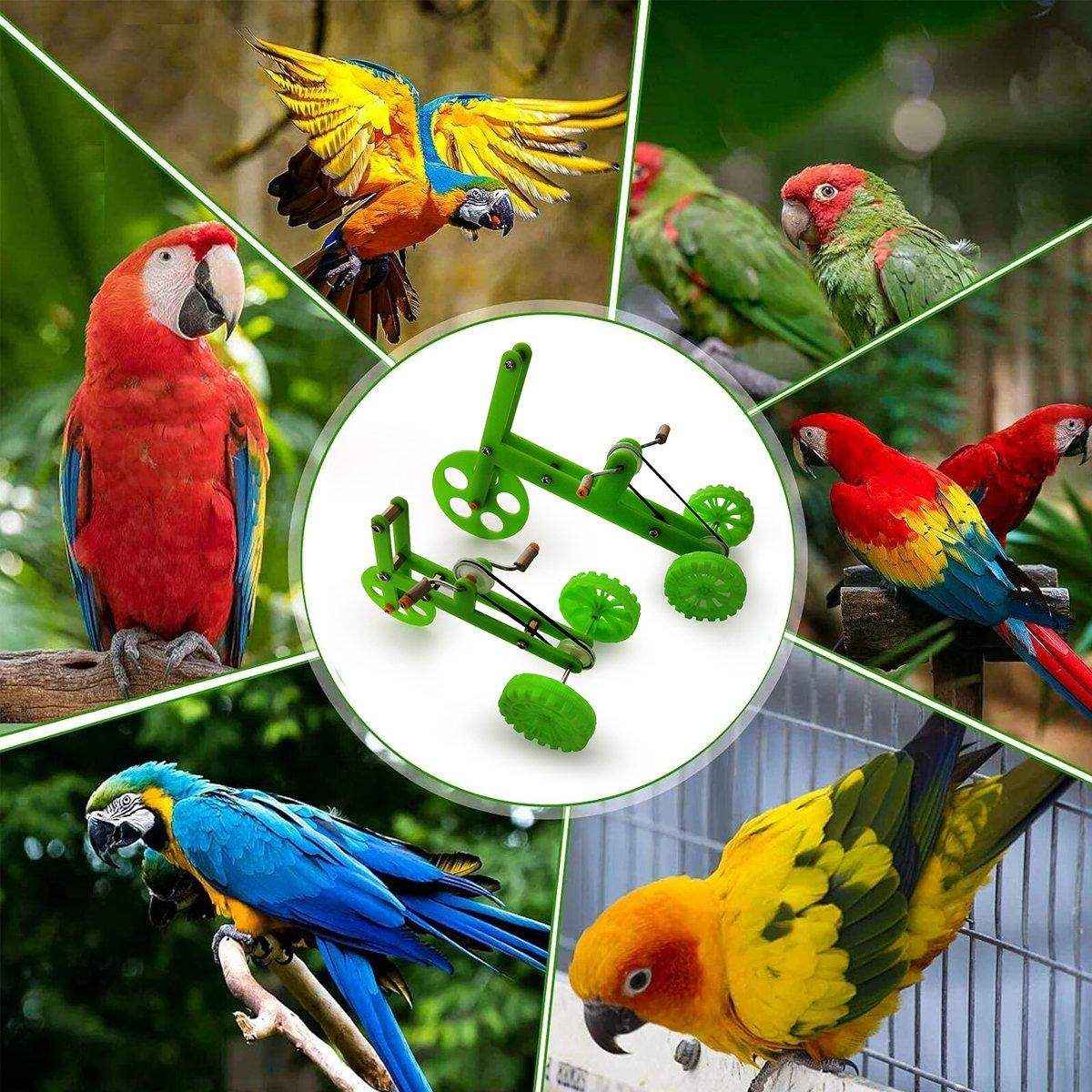 Parrot Training Bicycle Toy for Small & Medium Birds - Image 10