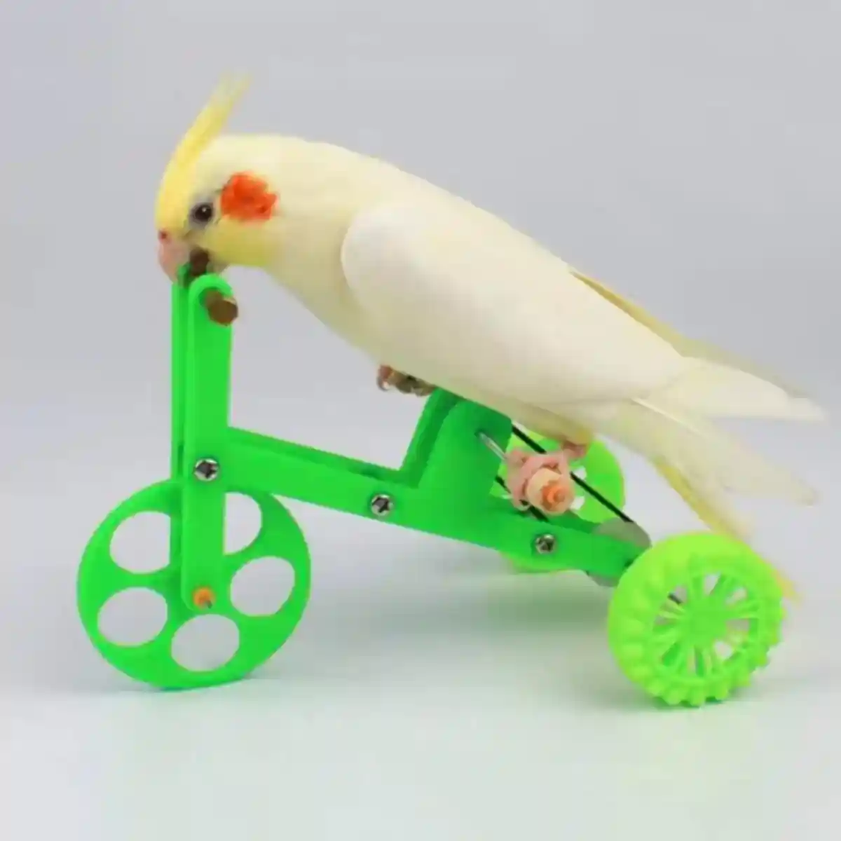 Parrot Training Bicycle Toy for Small & Medium Birds - Image 9
