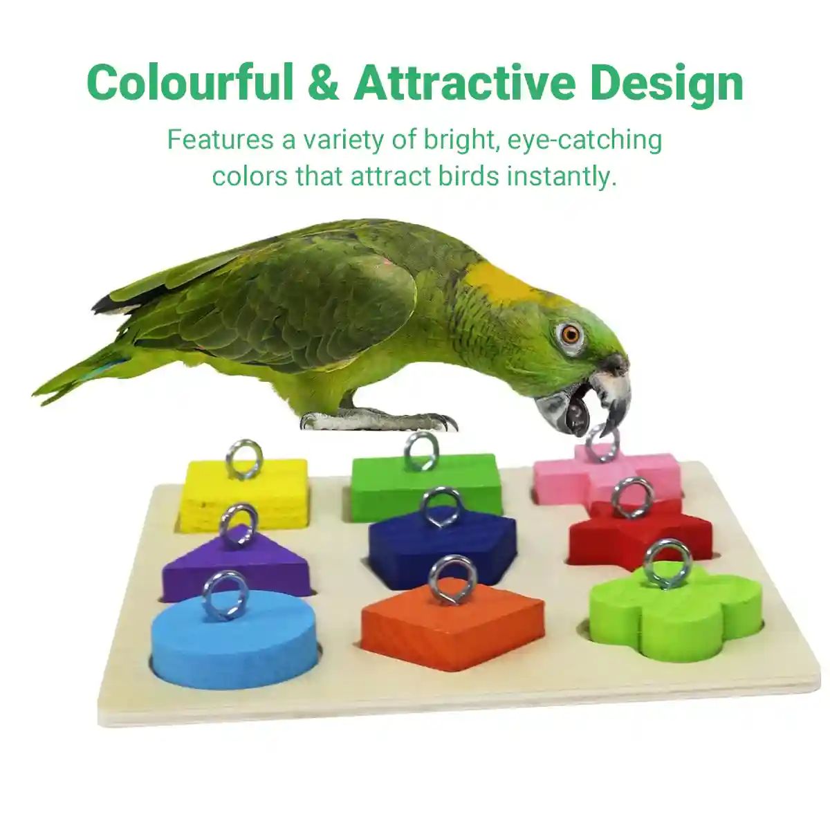 Parrot Training Toy Educational Clock Design with Wooden Blocks for Play - Image 8