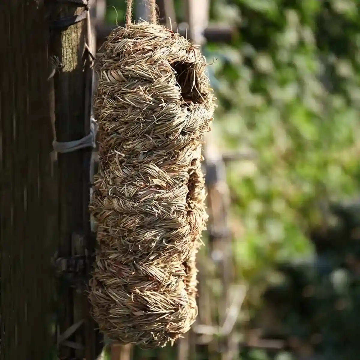 Natural Woven Hanging Bird Nest Peanut Style Bird House for Garden - Image 13